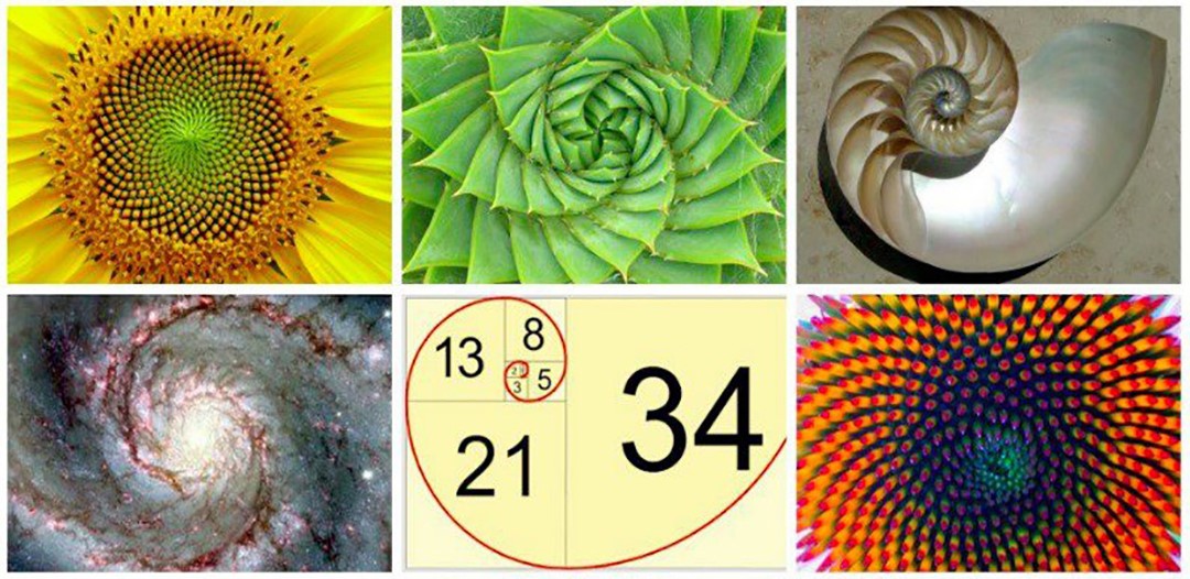 golden ratio fibonacci spiral zlatni rez sveta geometrija piramida za meditaciju